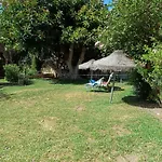 Piscis Benalmadena